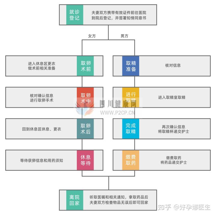 第一次取卵没经验_一张图告诉你试管婴儿取卵全流程!(图2)