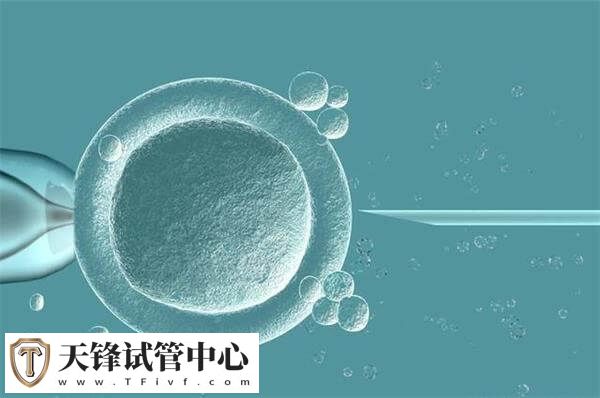 卵泡数量在6-10个是正常的