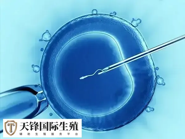 冻胚移植怀孕后如何保胎