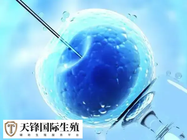 优质囊胚为什么会失败