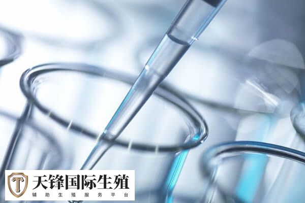 自然周期方案的优缺点有哪些