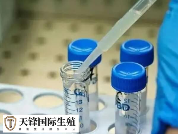 高龄试管成功率低怎么办