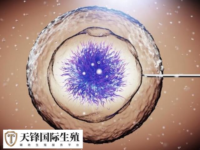 试管移植几次都失败怎么回事