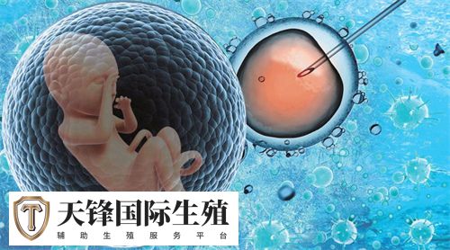 冻胚移植前这么做有助于着床