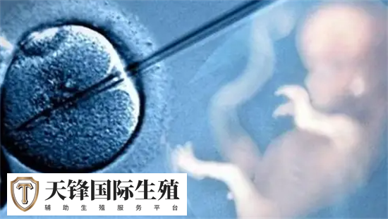 冻胚移植前这么做有助于着床(图2) 649c5d11d0c8be33e7886a8606454cd7_1742096791896741.png