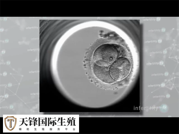 贵阳能做试管婴儿的医院(图2) 0d143079730ee3ee8b066b56e0ca7831_1741997163722429.png