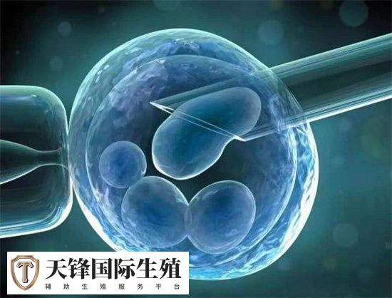 促排方案可以根据自己的要求选择吗？