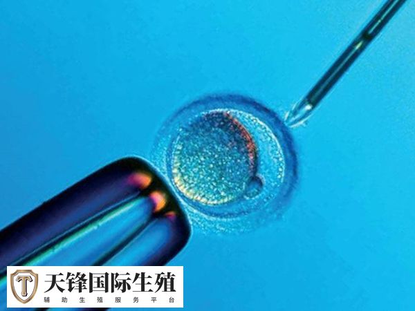 人授不成功转试管还要花多少钱
