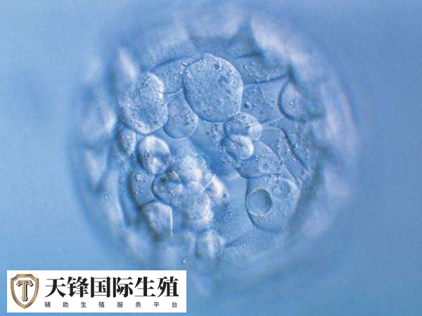 移植冻胚和鲜胚hcg值一样不