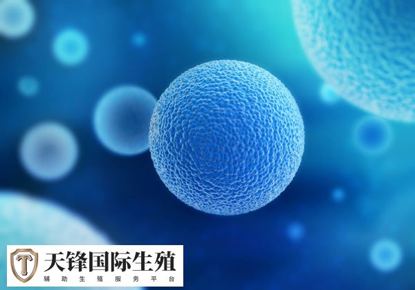 试管取卵几个较好(图2) 做试管取10-15个数量较好