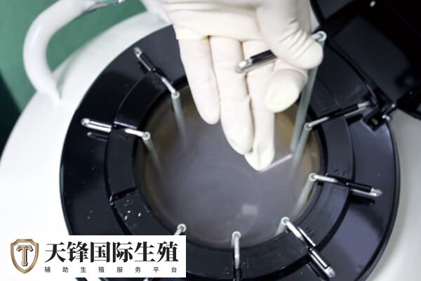 试管什么情况下需要冻胚移植