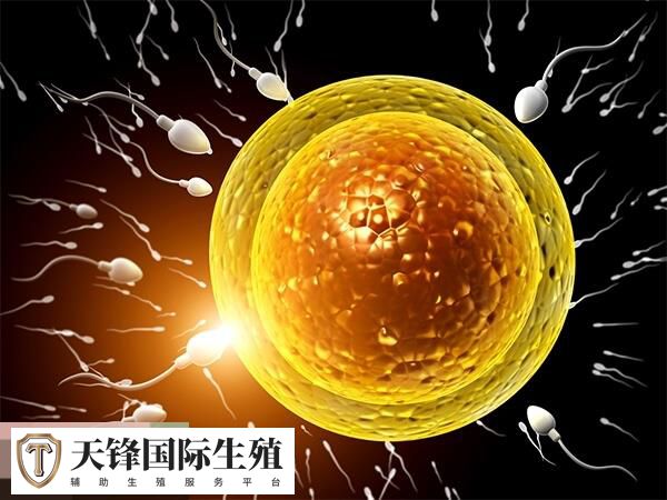 兰州省妇幼做试管费用分享，术前检查、药物要多少钱