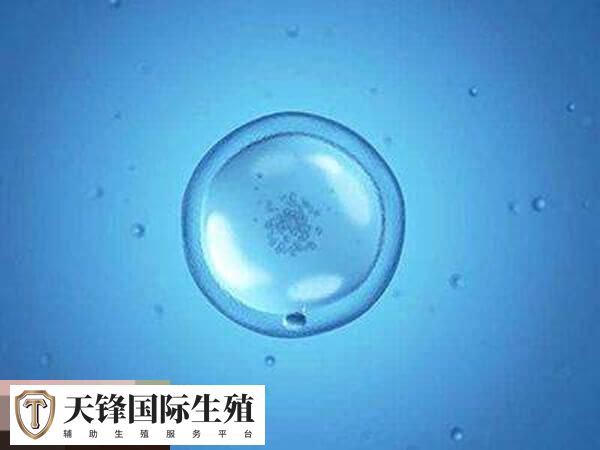宁波不育不孕医院排行，市妇女儿童医院或榜上有名