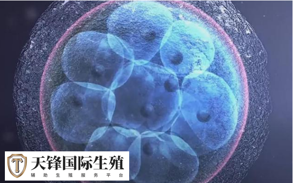 女性乙肝做供卵 三代试管哪家医院好？