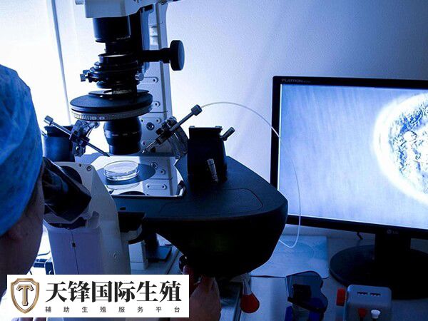 平衡易位试管怎么样(图2) 染色体平衡易位是染色体异常的一种情况