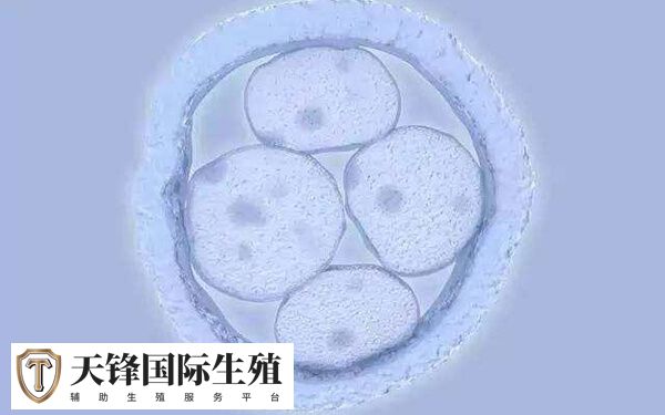 试管医生哪些暗示是生男孩