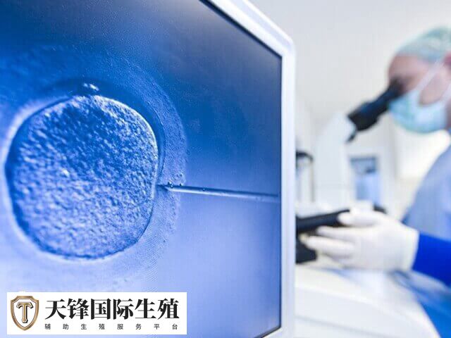试管一对龙凤胎多少钱(图2) 影响试管婴儿费用的因素包括试管技术