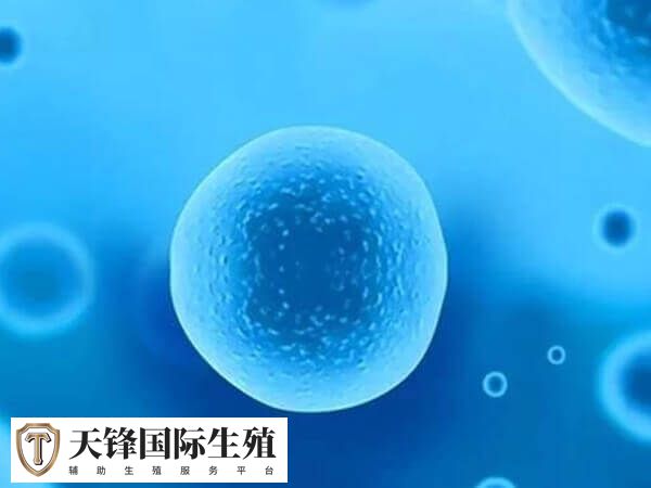 面瘫会不会影响精子质量(图2) 面瘫主要是由于面神经受损所致