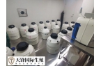 囊胚太多了不想全都冷冻保存能舍弃一些吗？
